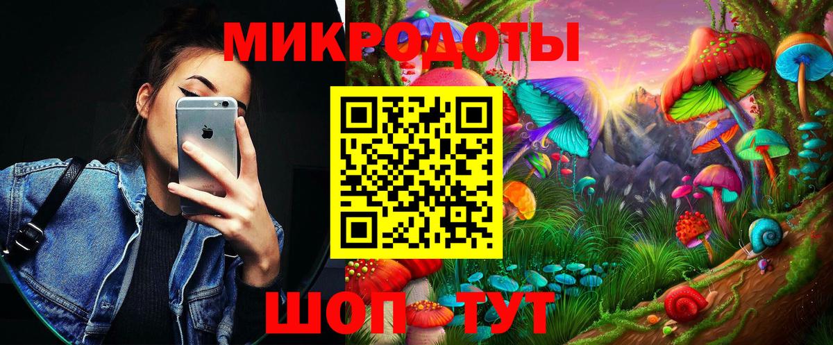 Галлюциногенные грибы Psilocybine cubensis Борзя